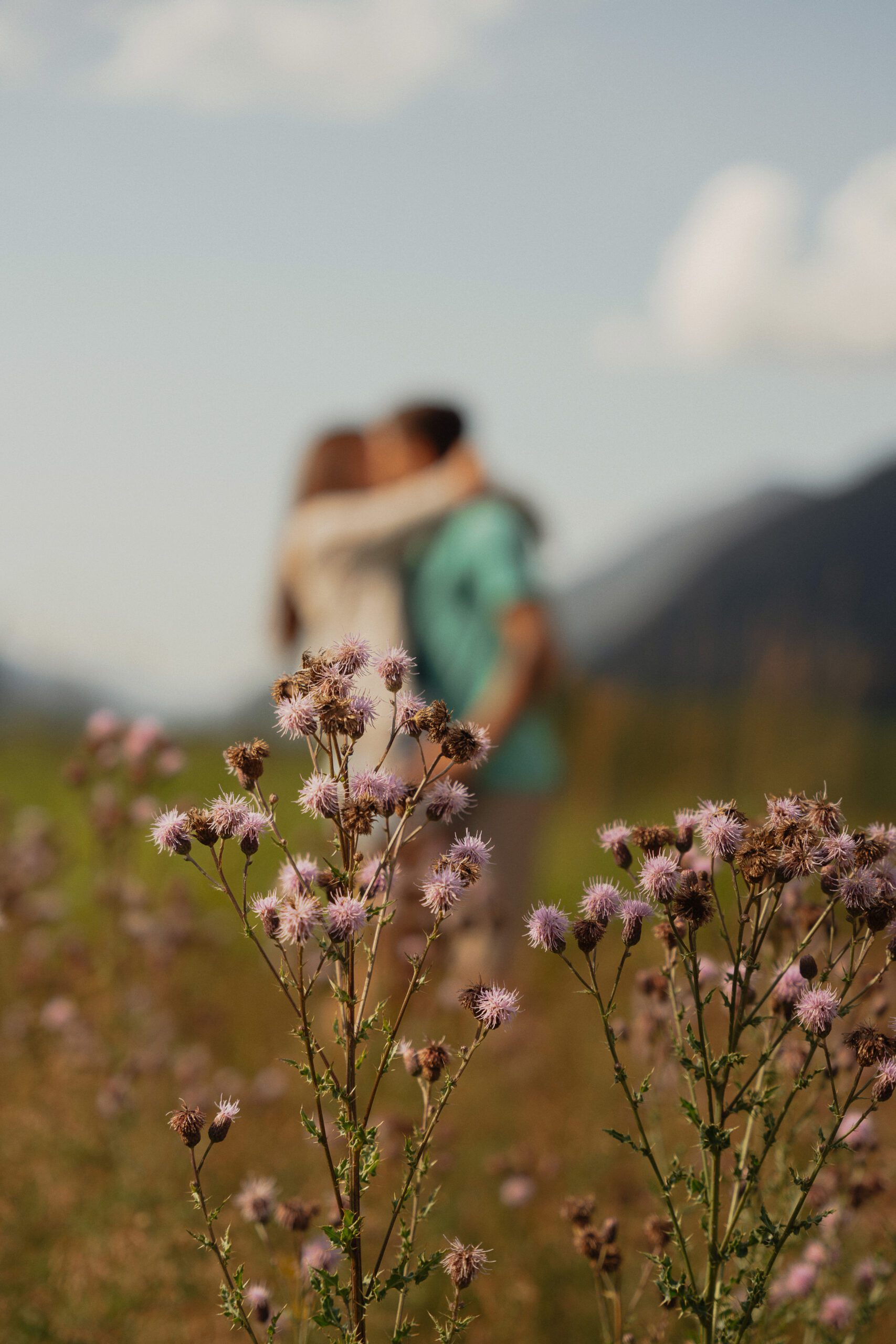 couple kissing in the background of wildflowers in a field at Ralkph River Campground during their engagement photos by Latitude 49 photography