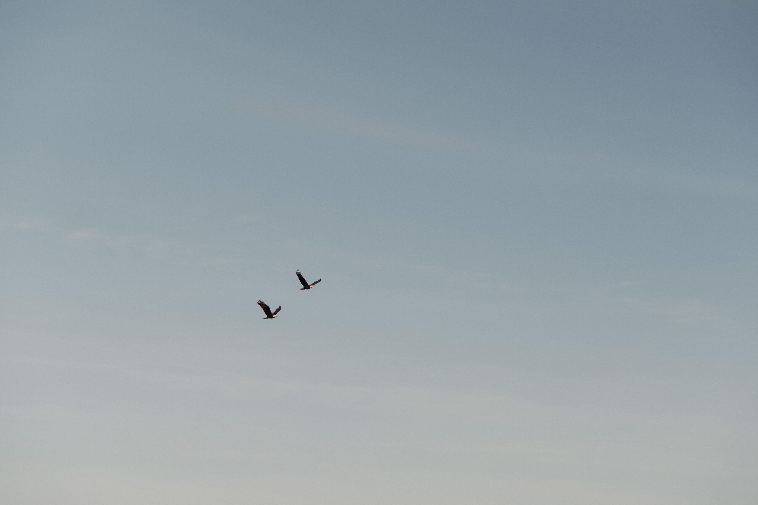 couple during their engagement session at Es-hw Sme~nts Community Park in Nanoose bay by Latitude 49 Photography
