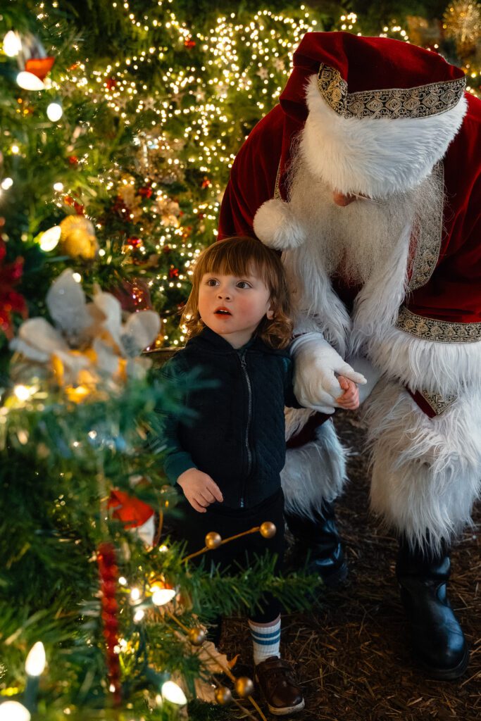 Santa Claus at Holly Hill Farm in Campbell River by Latitude 49 Photography