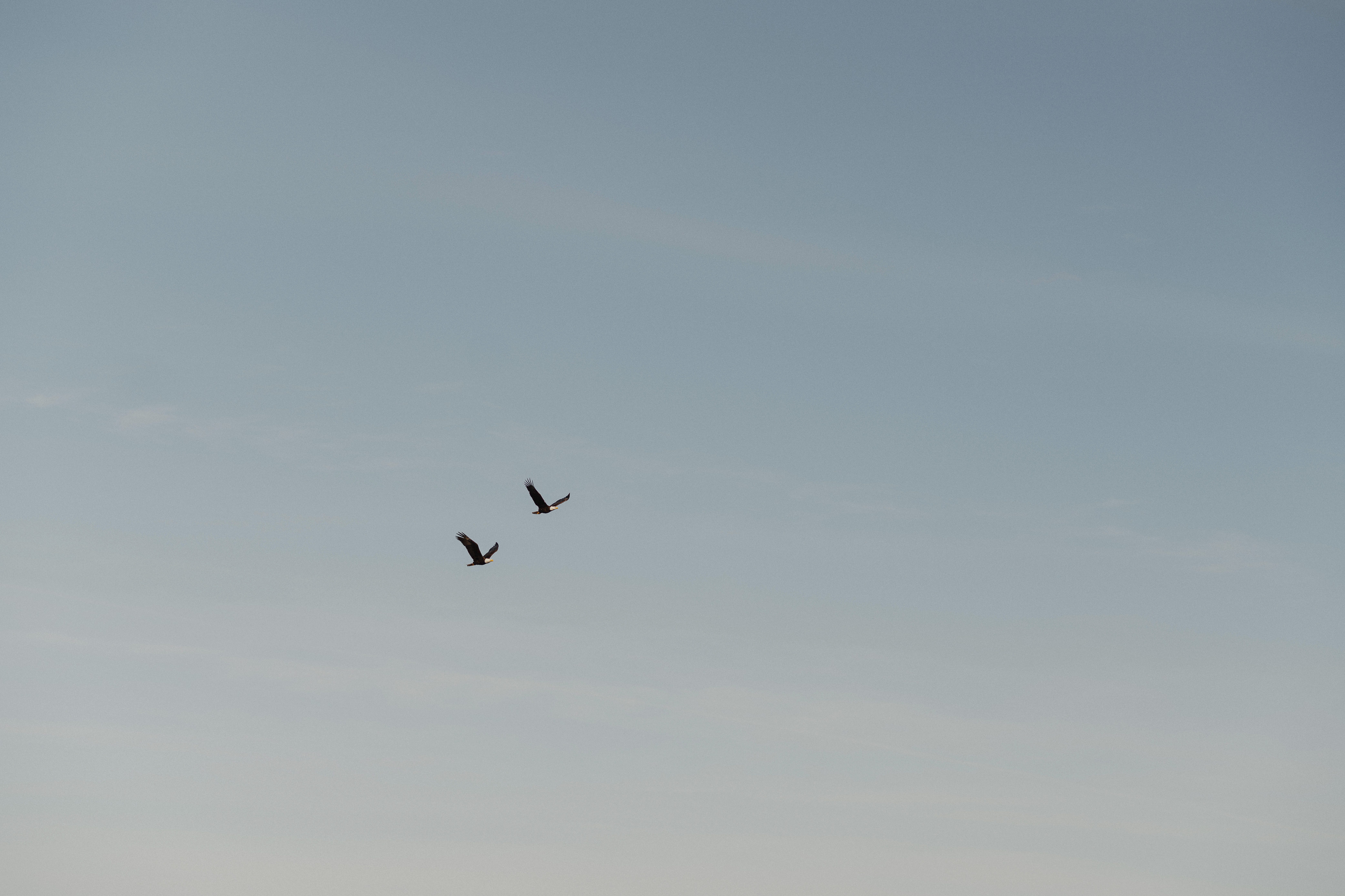 couple during their engagement session at Es-hw Sme~nts Community Park in Nanoose bay by Latitude 49 Photography