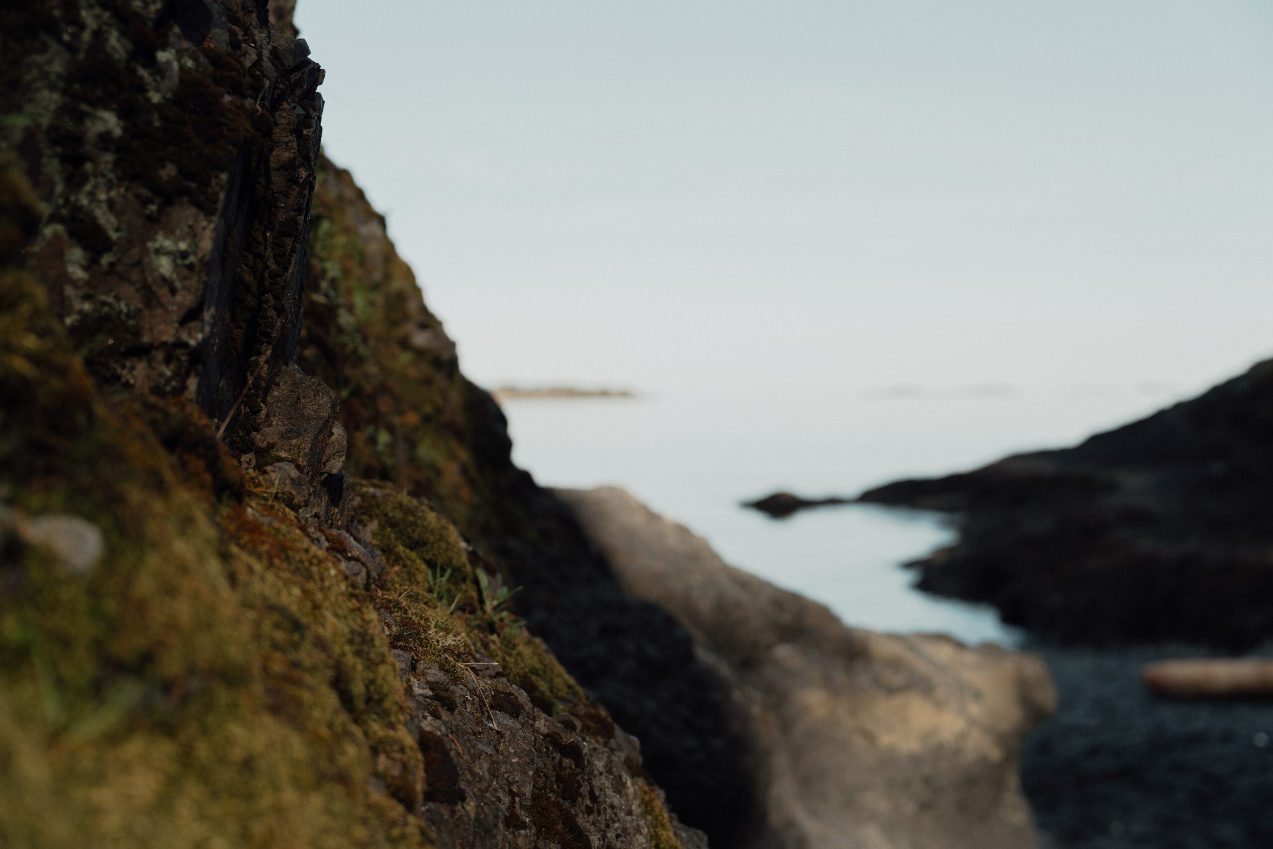 couple during their engagement session at Es-hw Sme~nts Community Park in Nanoose bay by Latitude 49 Photography