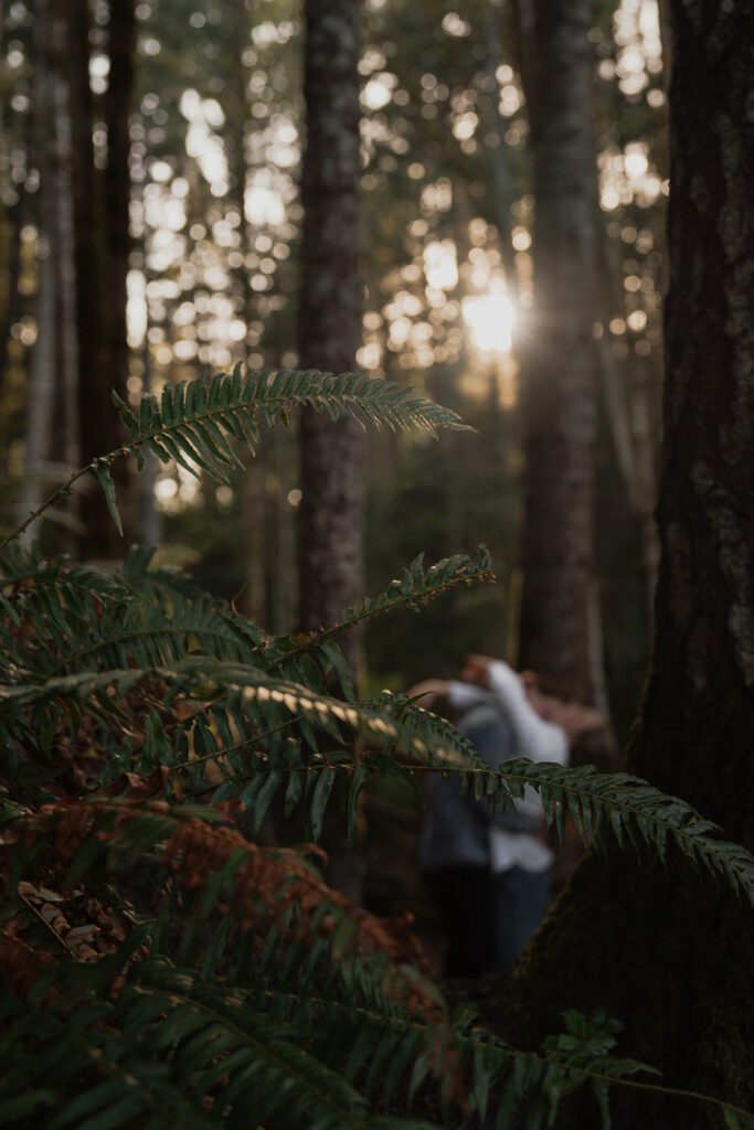 Couple during their engagement session at Seal Bay Nature Park by Latitude 49 Photography