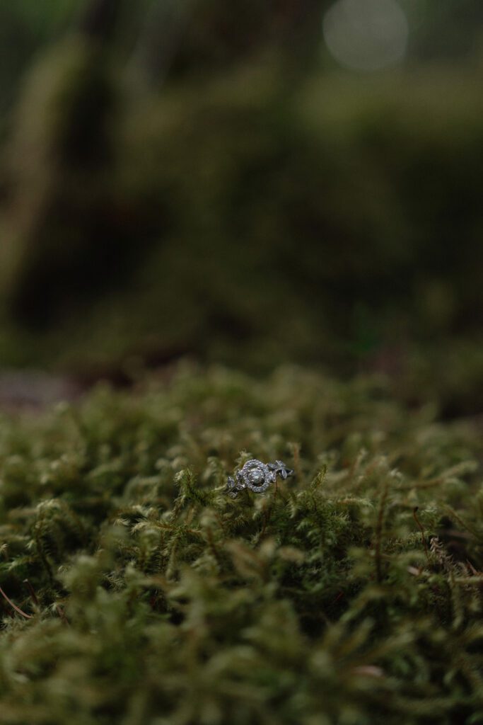 ring on moss during an engagement session at Seal Bay Nature Park by Latitude 49 Photography