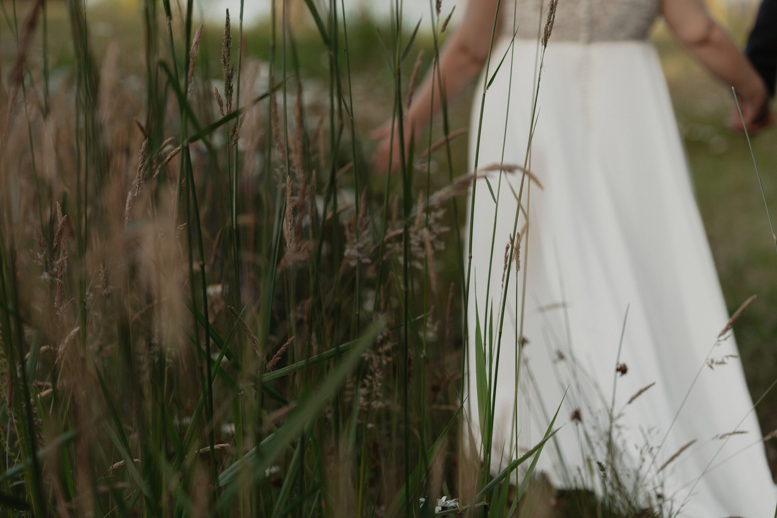 Cassie running her hands through the tall grasses during her wedding portraits at Two Eagles Lodge in Union Bay by Latitude 49 Photogrpahy