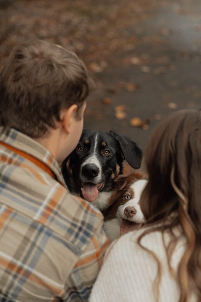 Connor, Liz and their dogs during their fall engagement session at the Trestle Bridge in Campbell River.